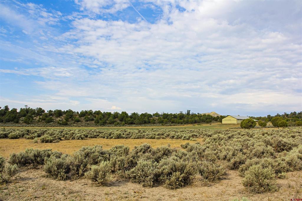 320 County Road 329 Allison CO 81137