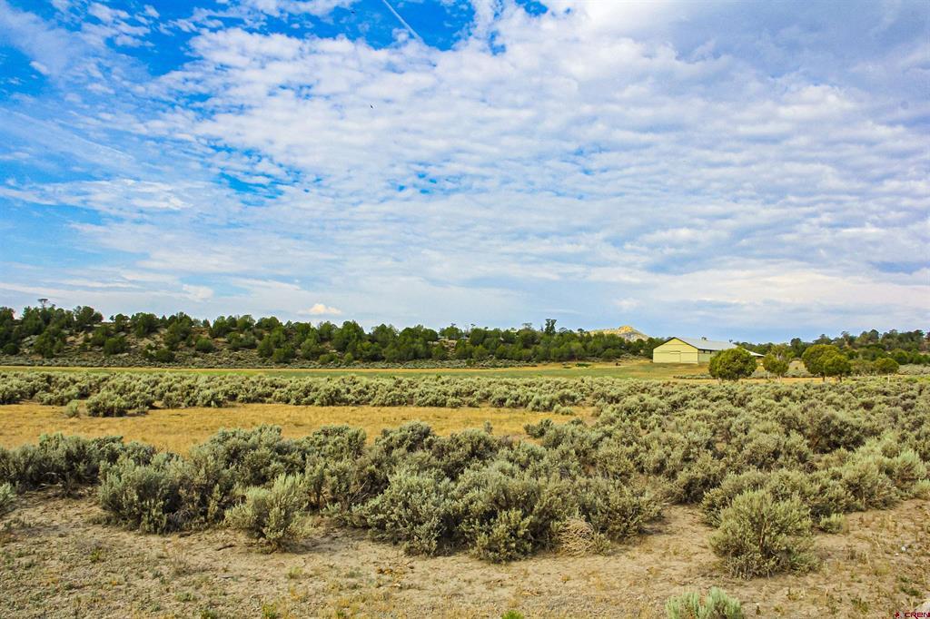 320 County Road 329 Allison CO 81137