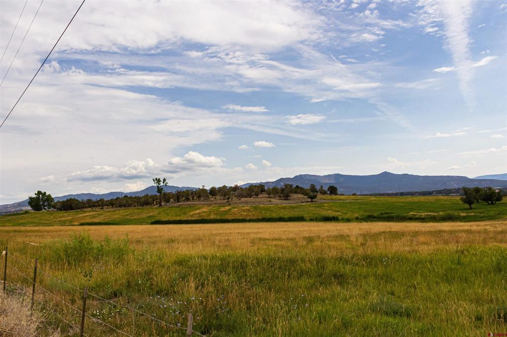 320 County Road 329 Allison CO 81137