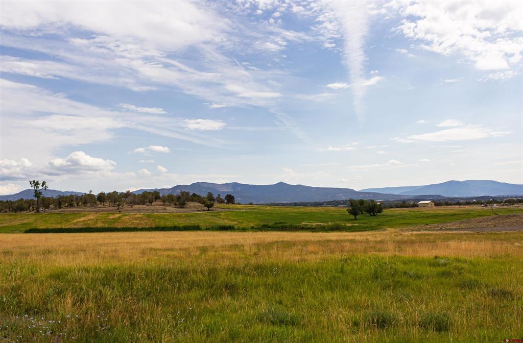 320 County Road 329 Allison CO 81137