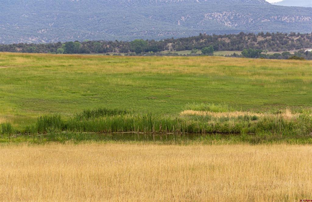 320 County Road 329 Allison CO 81137