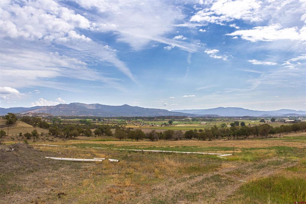 320 County Road 329 Allison CO 81137