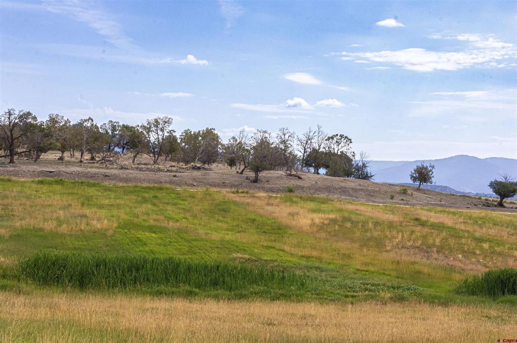 320 County Road 329 Allison CO 81137