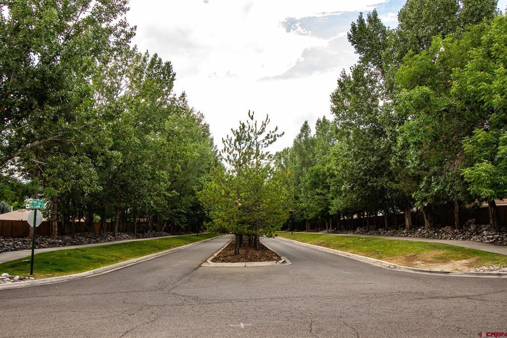 1316 Owl Creek Avenue Montrose CO 81401