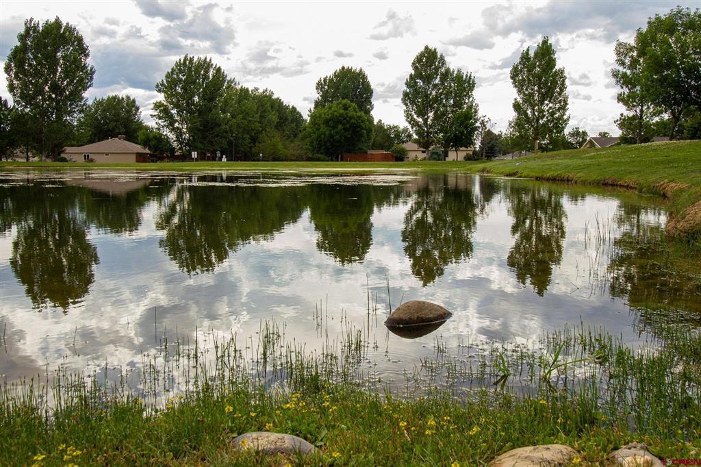 1316 Owl Creek Avenue Montrose CO 81401