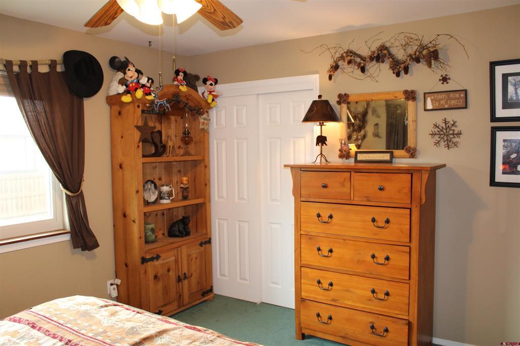 239 Driftwood Drive Pagosa Springs CO 81147