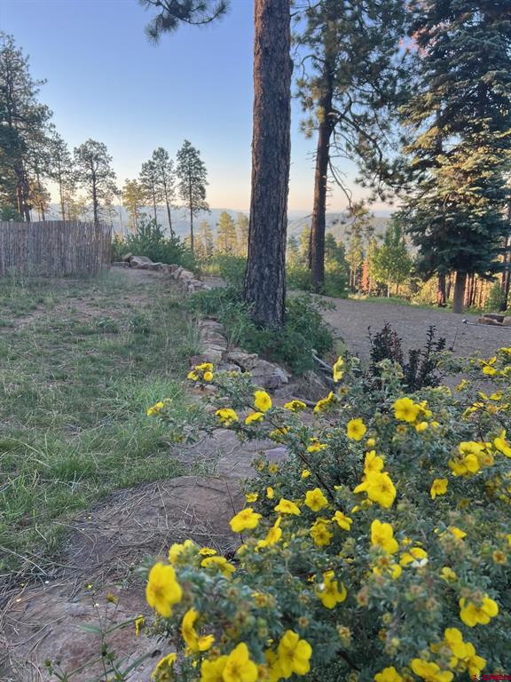 1679 Rosalie Drive Durango CO 81301