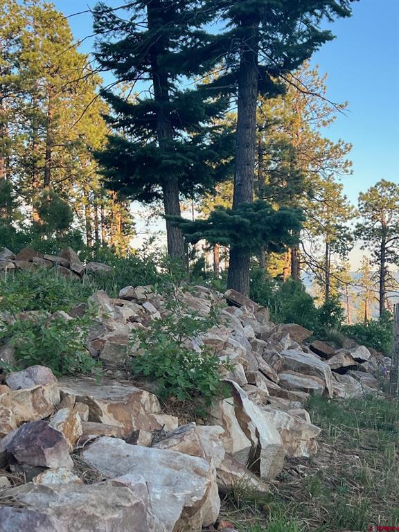 1679 Rosalie Drive Durango CO 81301