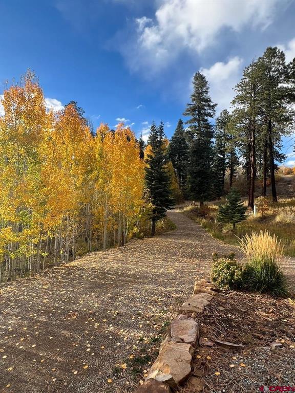 1679 Rosalie Drive Durango CO 81301