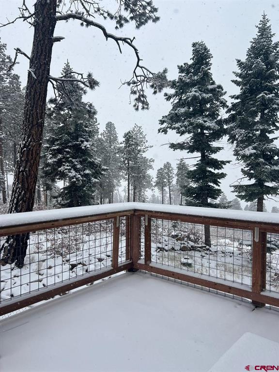 1679 Rosalie Drive Durango CO 81301