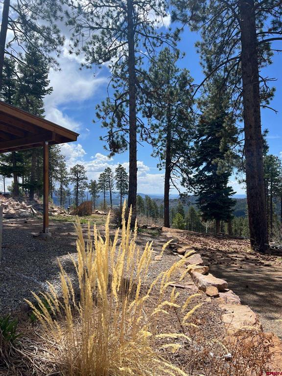 1679 Rosalie Drive Durango CO 81301