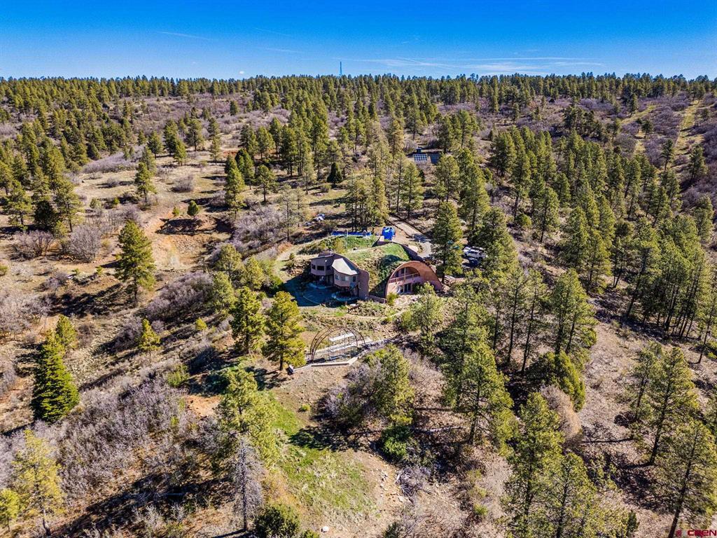 235 Rimview Court Pagosa Springs CO 81147