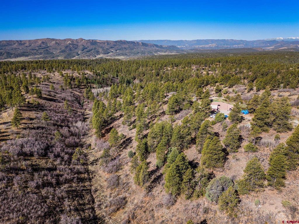 235 Rimview Court Pagosa Springs CO 81147