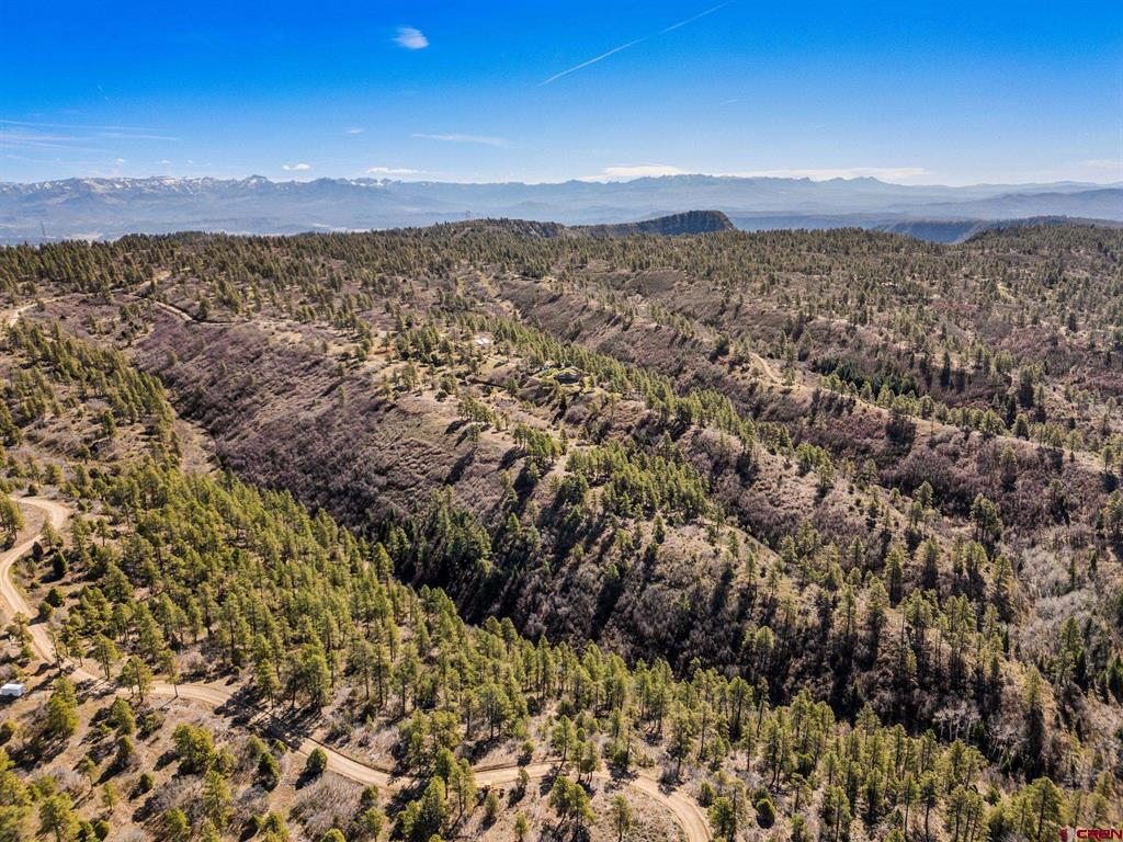 235 Rimview Court Pagosa Springs CO 81147