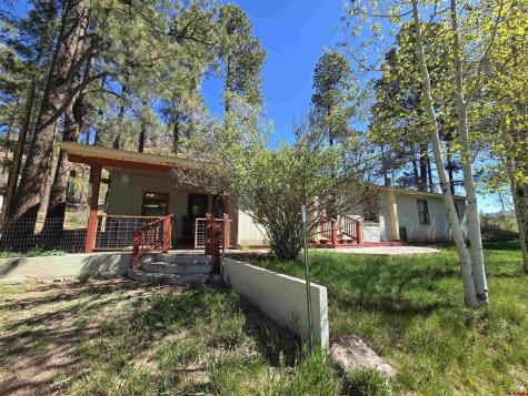 57 Pine Drive Vallecito Lake/Bayfield CO 81122