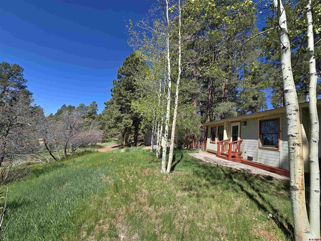 57 Pine Drive Vallecito Lake/bayfield CO 81122