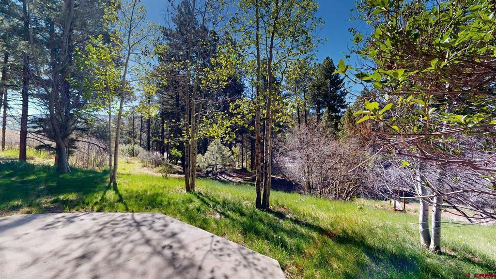 57 Pine Drive Vallecito Lake/bayfield CO 81122