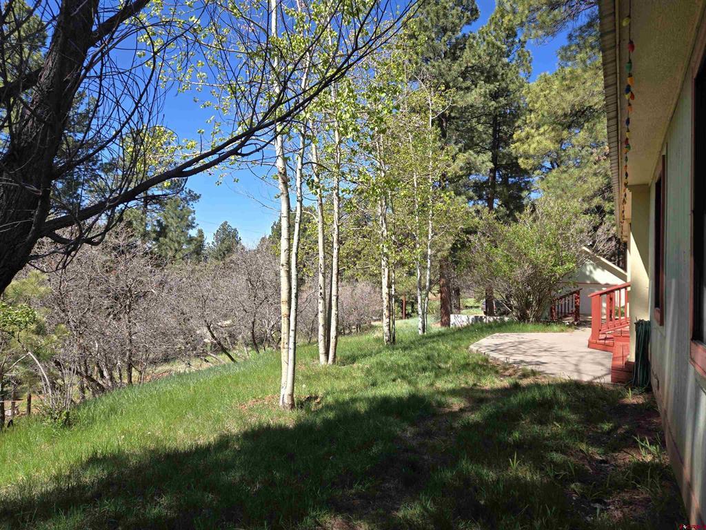 57 Pine Drive Vallecito Lake/bayfield CO 81122