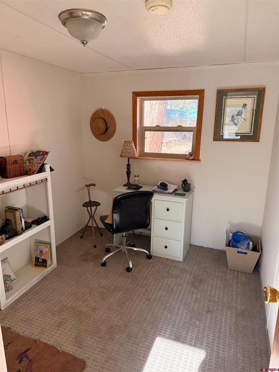 868 Nutria Circle Pagosa Springs CO 81147