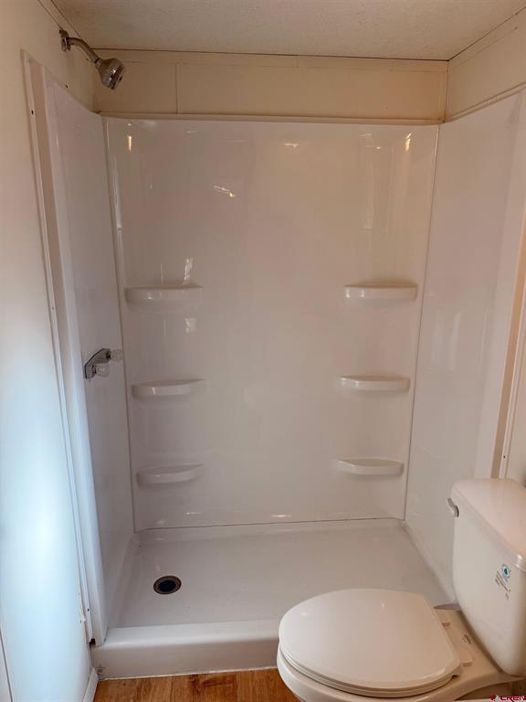 868 Nutria Circle Pagosa Springs CO 81147