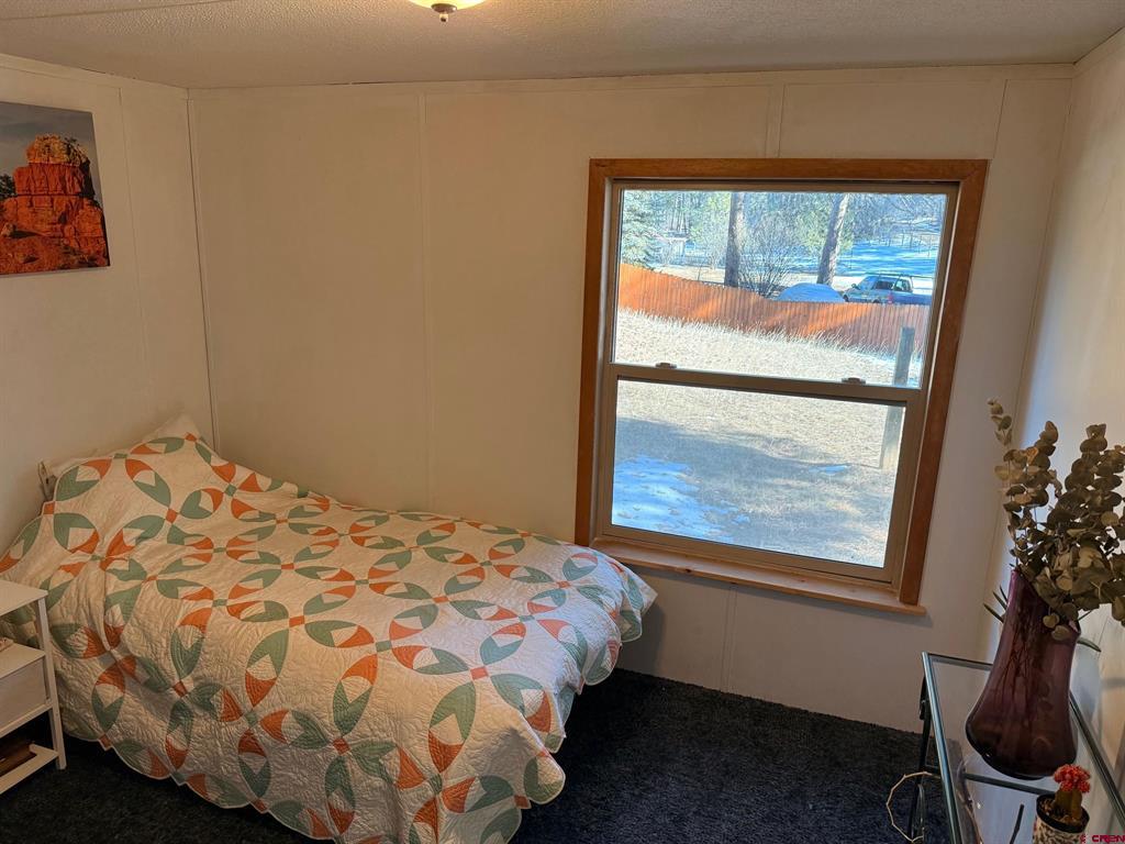 868 Nutria Circle Pagosa Springs CO 81147