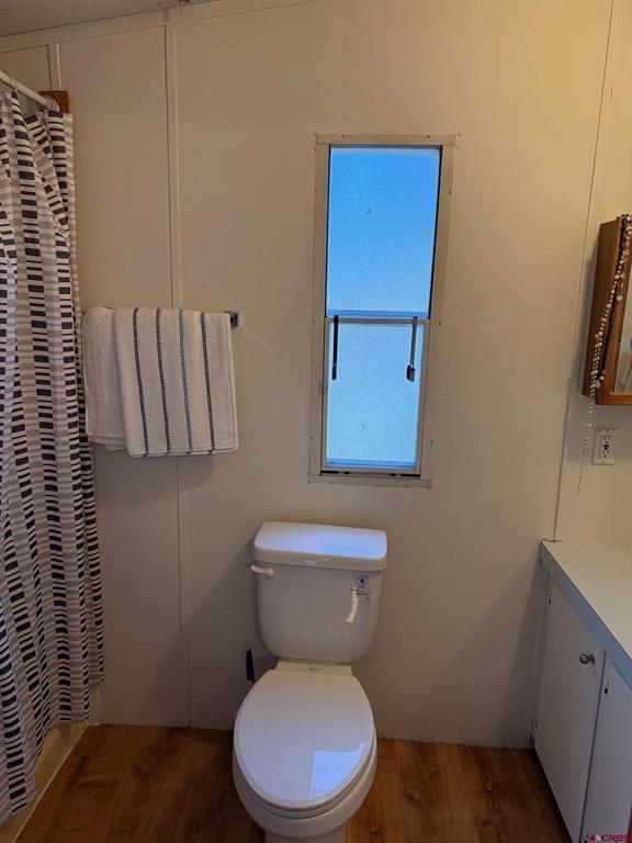 868 Nutria Circle Pagosa Springs CO 81147