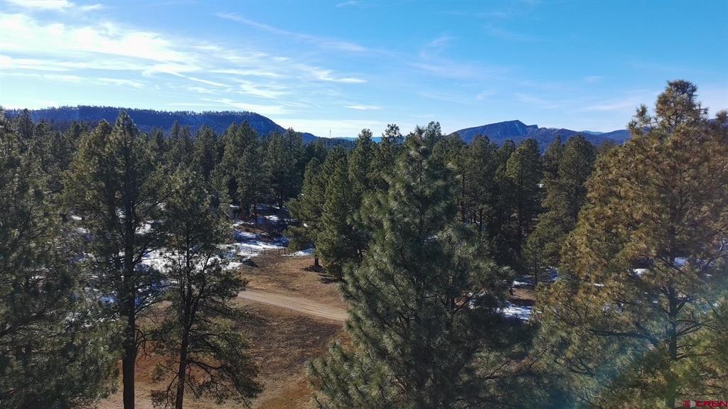 868 Nutria Circle Pagosa Springs CO 81147
