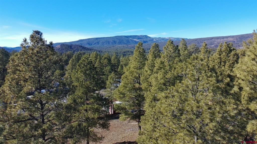 868 Nutria Circle Pagosa Springs CO 81147