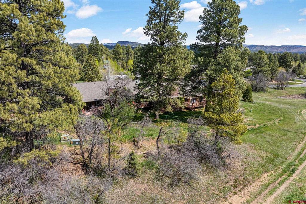 212 Pine Ridge Loop Durango CO 81301