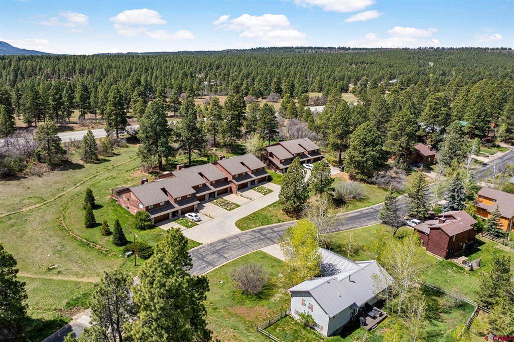 212 Pine Ridge Loop Durango CO 81301