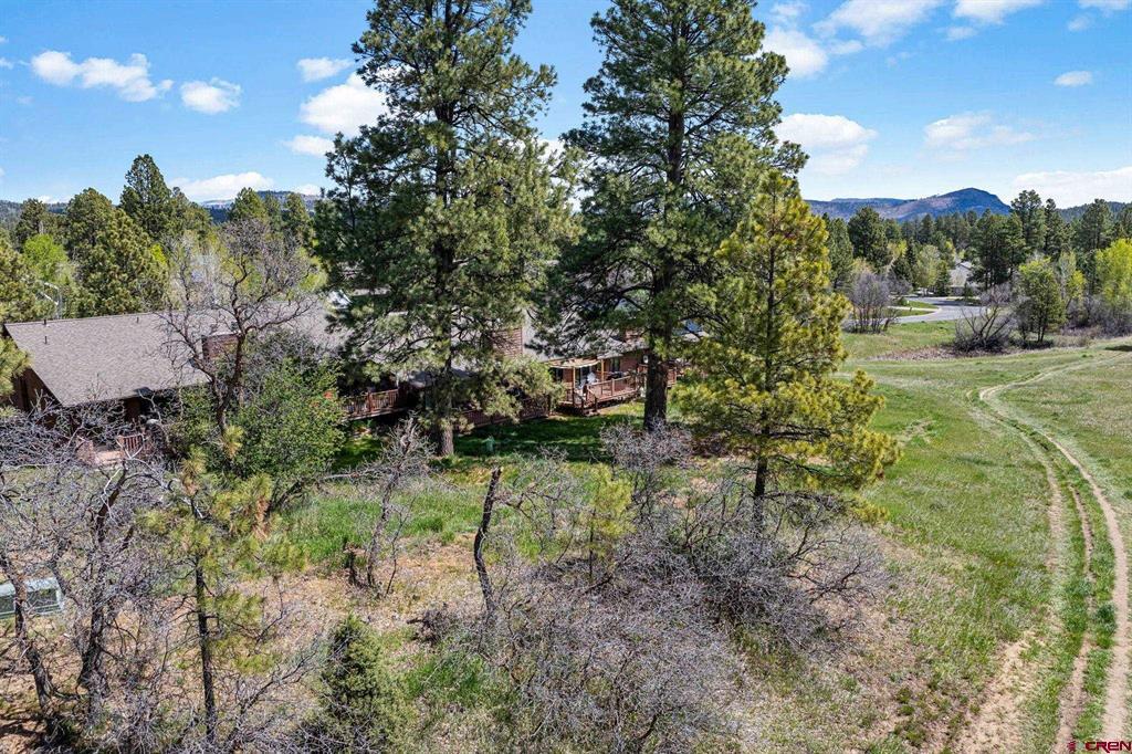 212 Pine Ridge Loop Durango CO 81301