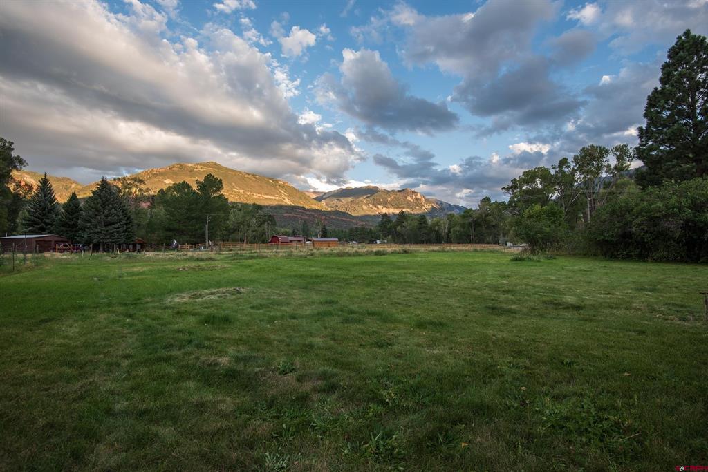 559 Suzanne Lane Ridgway CO 81432