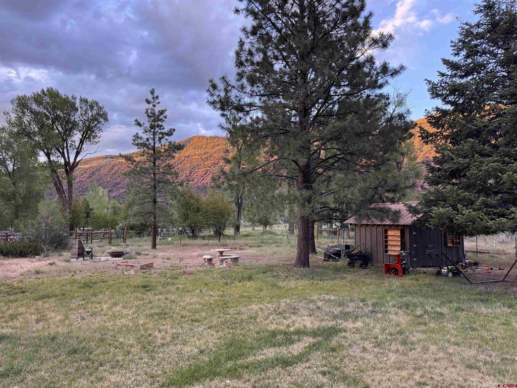 559 Suzanne Lane Ridgway CO 81432
