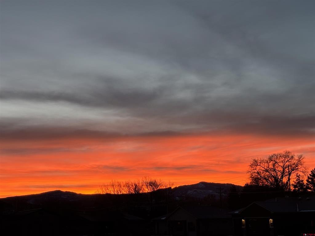 1704 Keller Court Montrose CO 81401