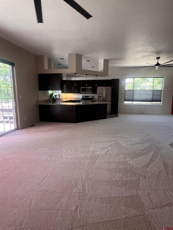 50 Wedgewood Circle Durango CO 81301