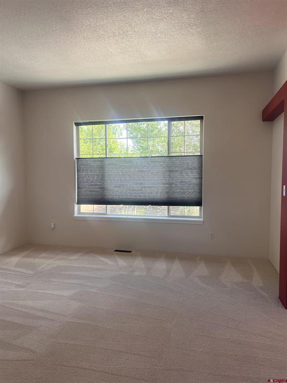 50 Wedgewood Circle Durango CO 81301