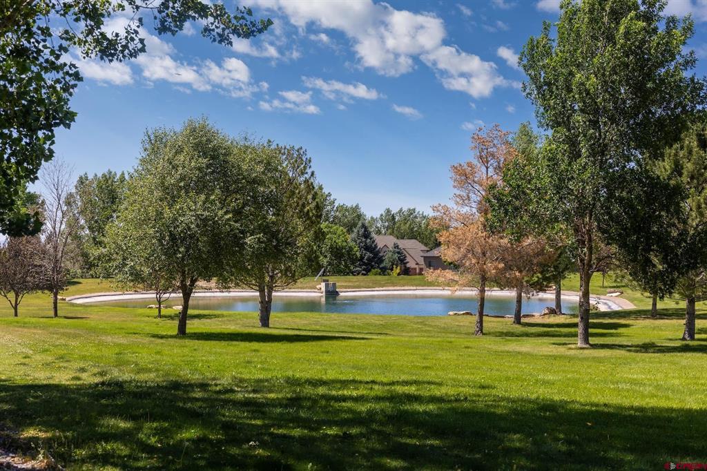 3339 Ivory Court Montrose CO 81401