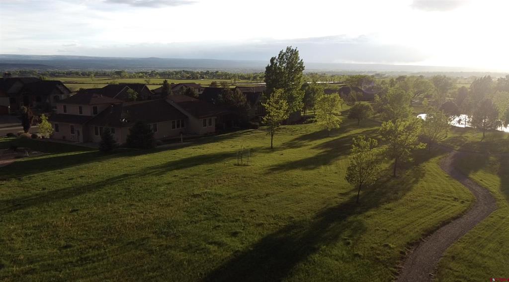3339 Ivory Court Montrose CO 81401