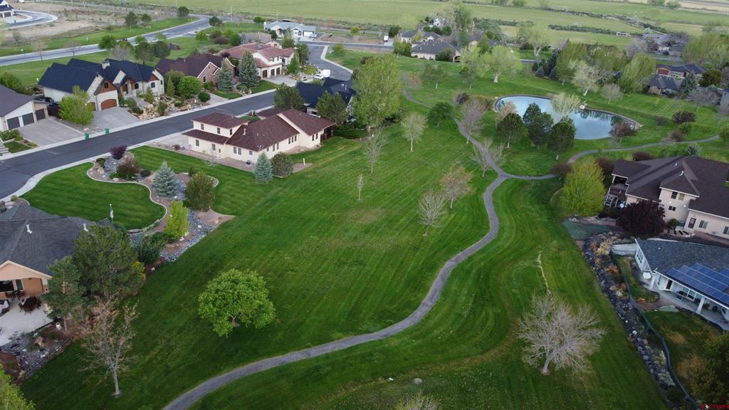3339 Ivory Court Montrose CO 81401