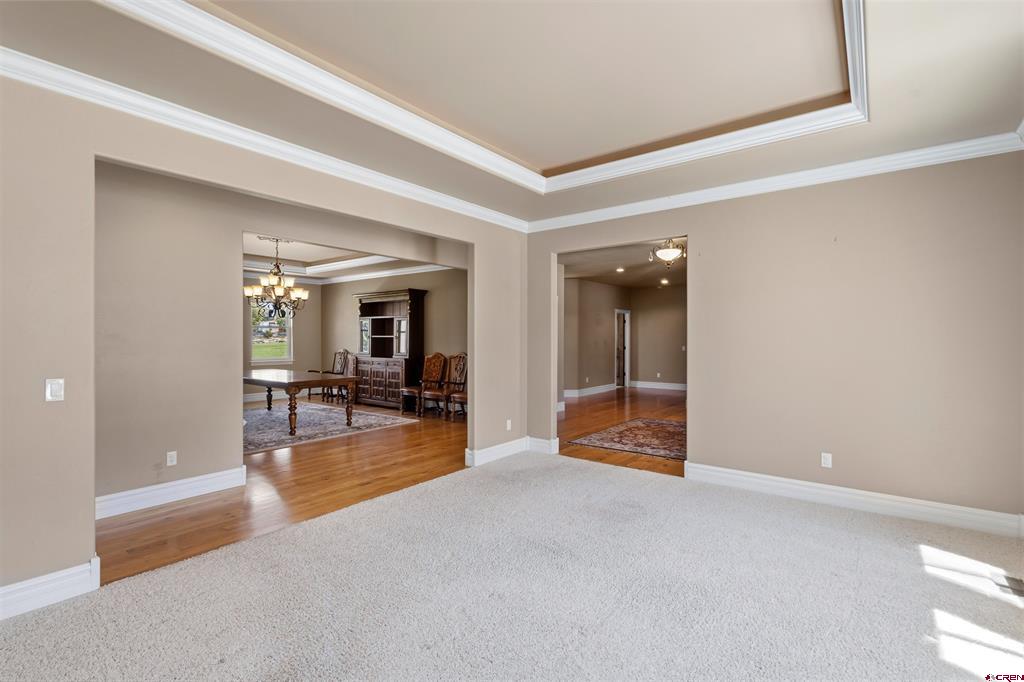 3339 Ivory Court Montrose CO 81401