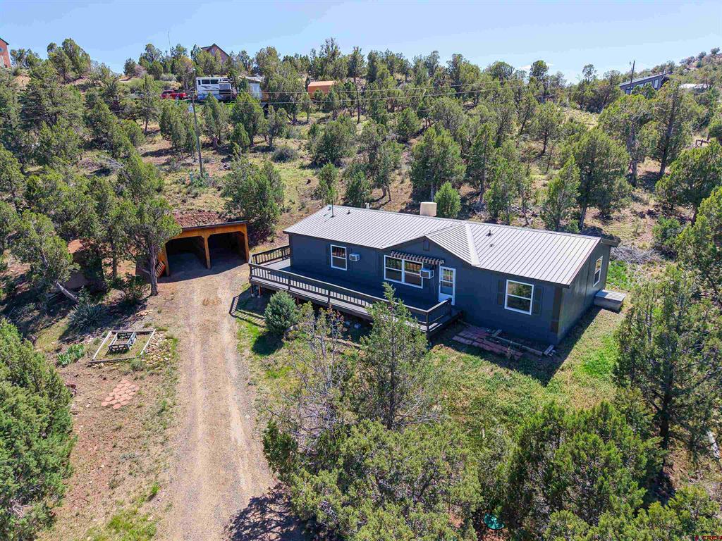 254 Deer Park Arboles CO 81121