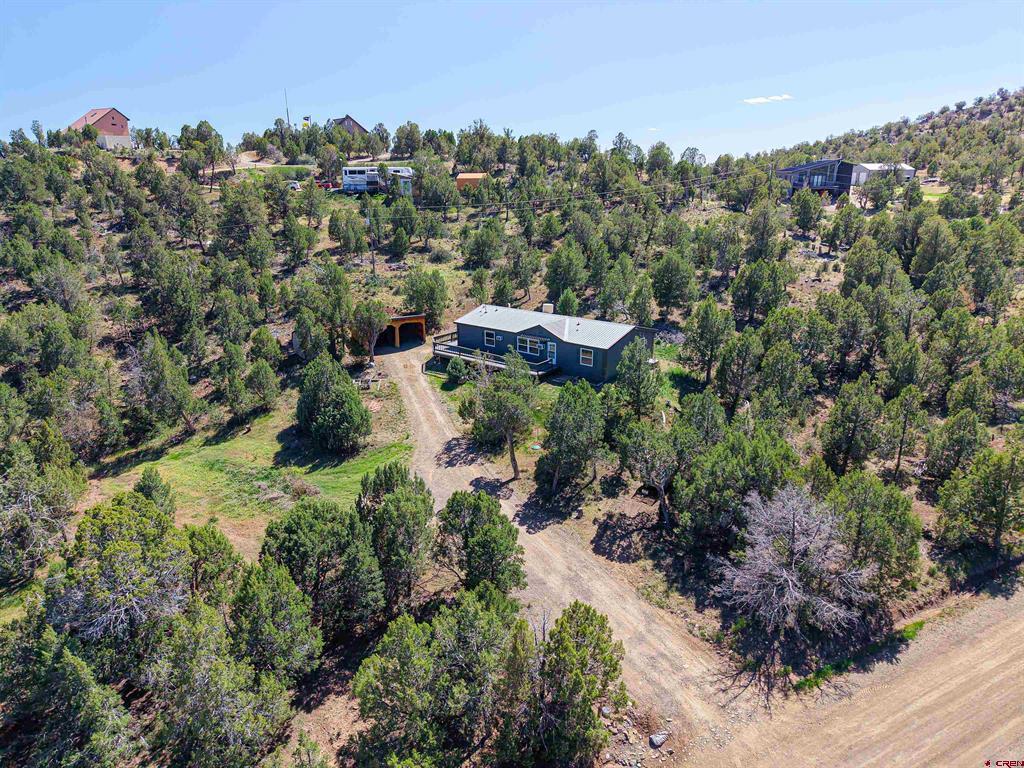 254 Deer Park Arboles CO 81121