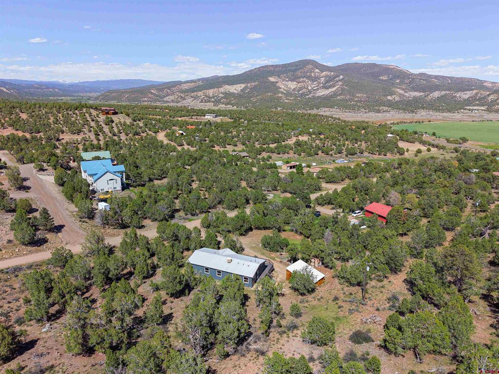 254 Deer Park Arboles CO 81121