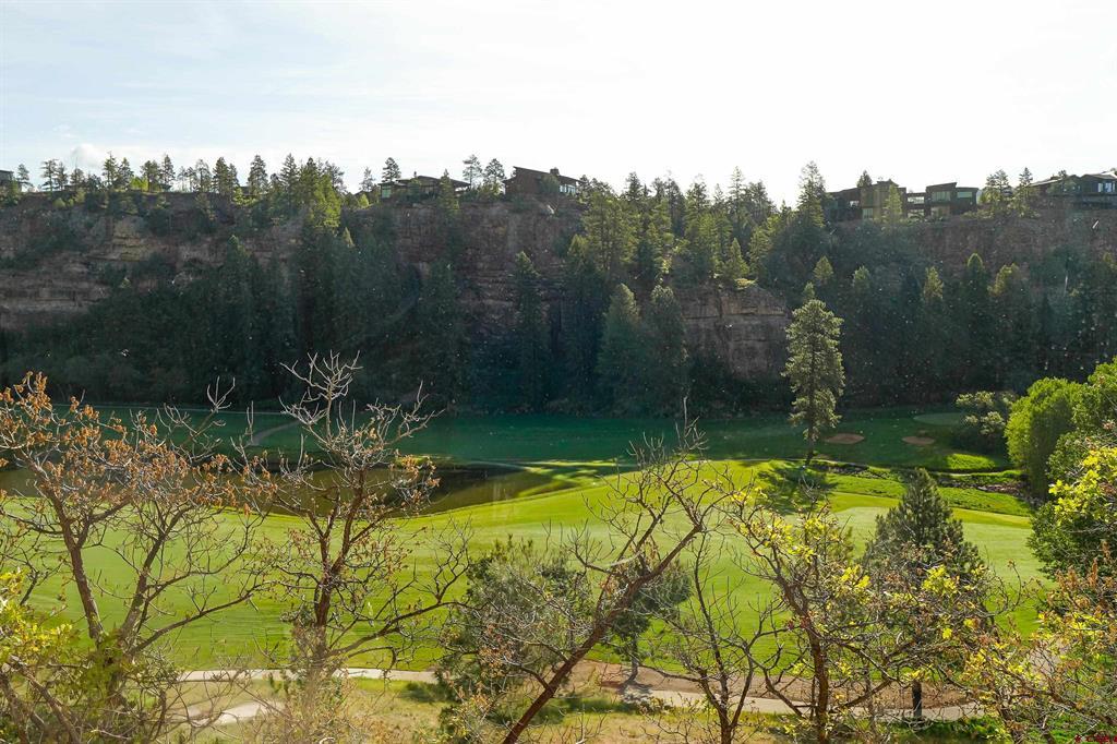 314 N Tamarron Drive Durango CO 81301