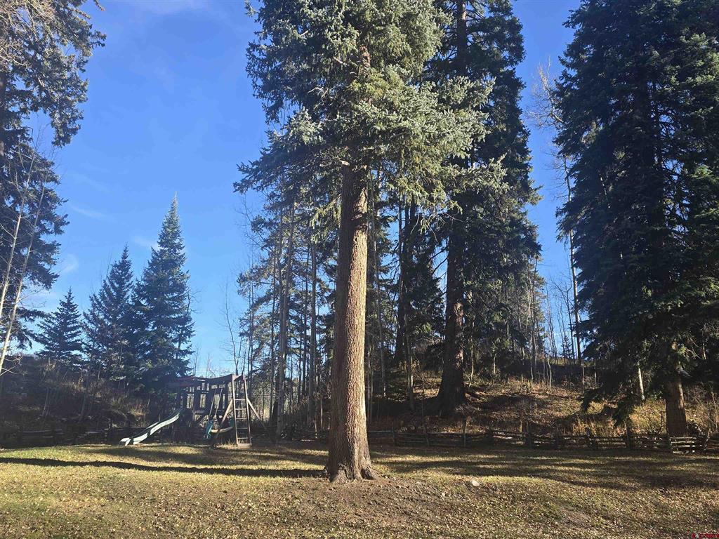 166 Yankee Girl Court Durango CO 81301
