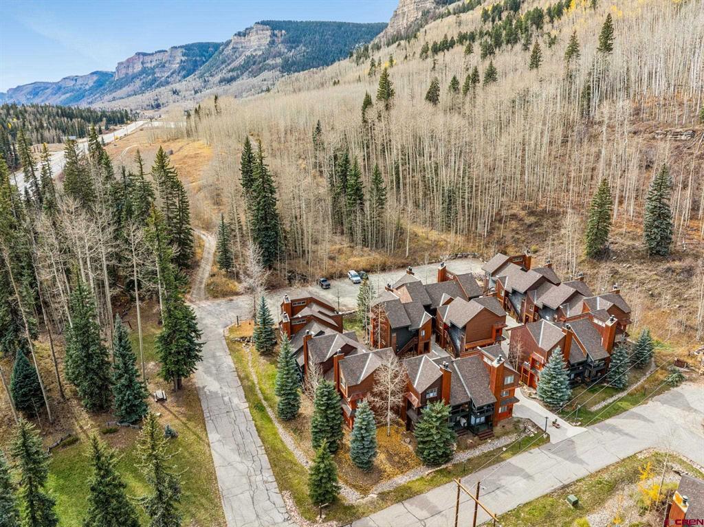 166 Yankee Girl Court Durango CO 81301