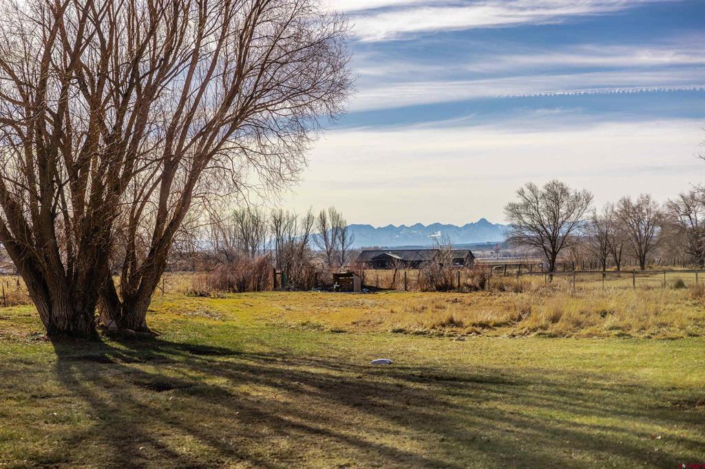 15214 6125 Road Montrose CO 81403