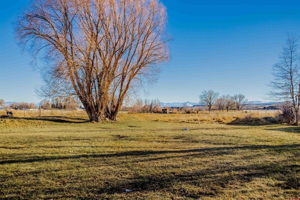 15214 6125 Road Montrose CO 81403