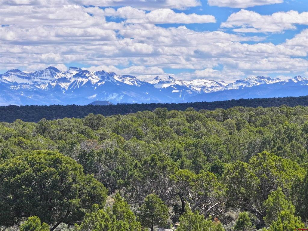 62100 V62 Trail Montrose CO 81403