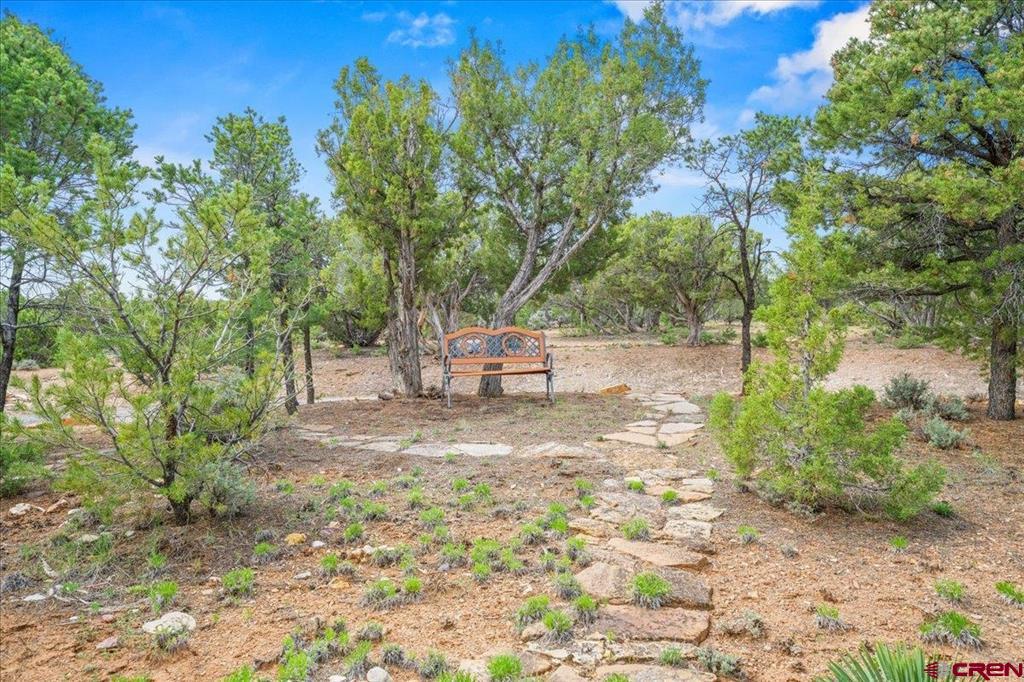 62100 V62 Trail Montrose CO 81403